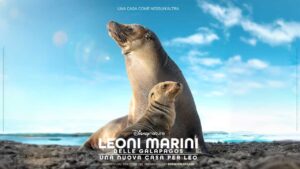 Sea Lions of the Galápagos, documental que estrenó Disney+